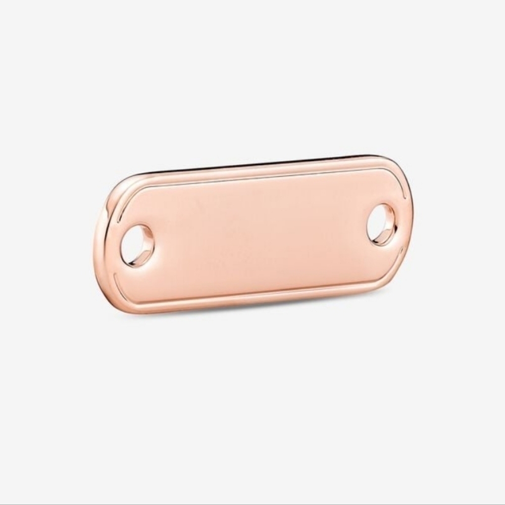 Pandora ME Styling Engravable Link